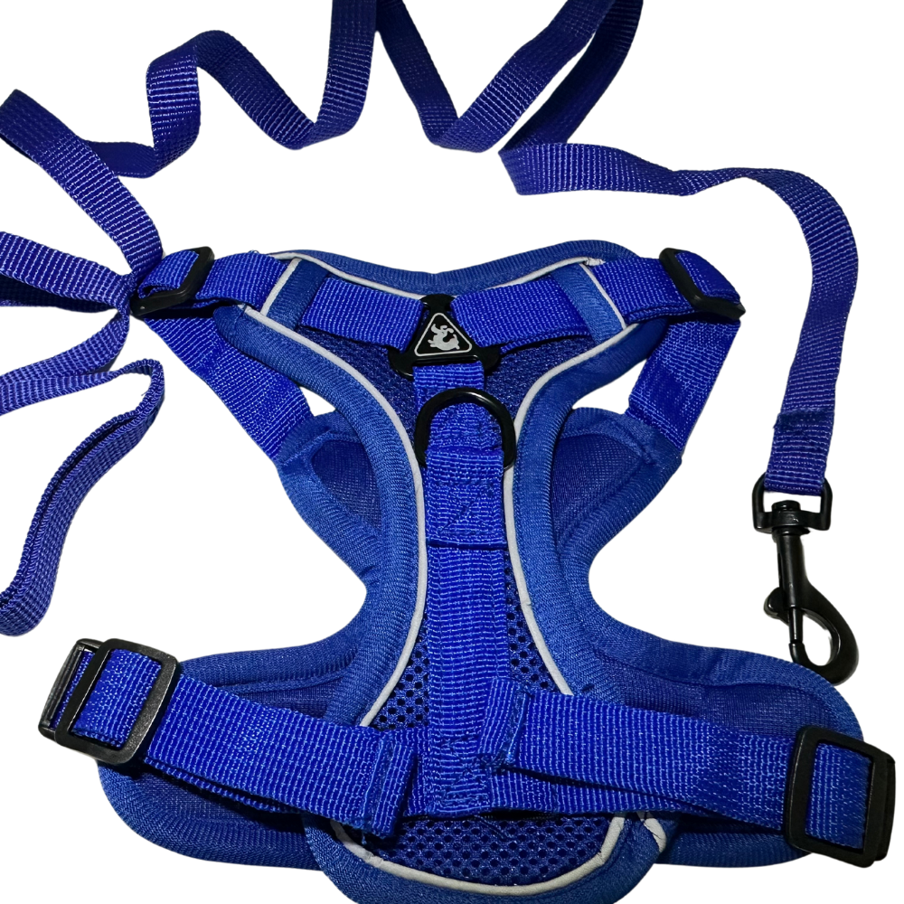 Pet Harness Reflective, blue