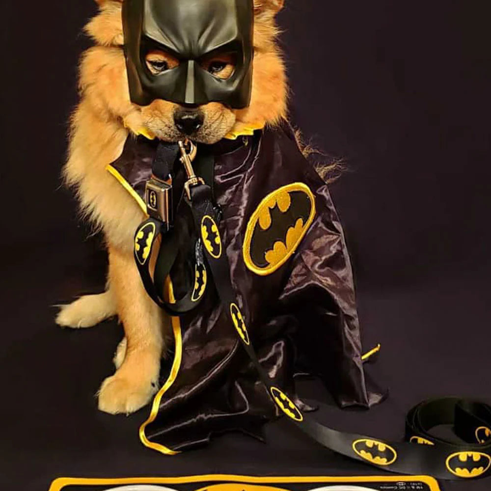 Batman Dog Leash