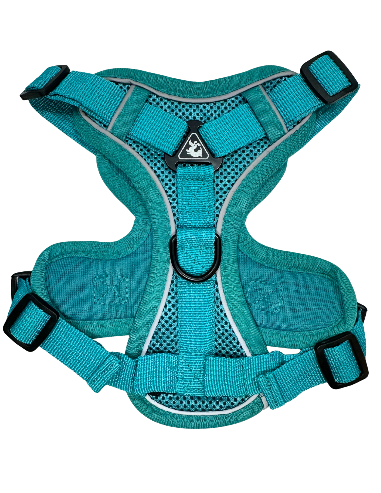 Pet Harness Reflective, Turquoise