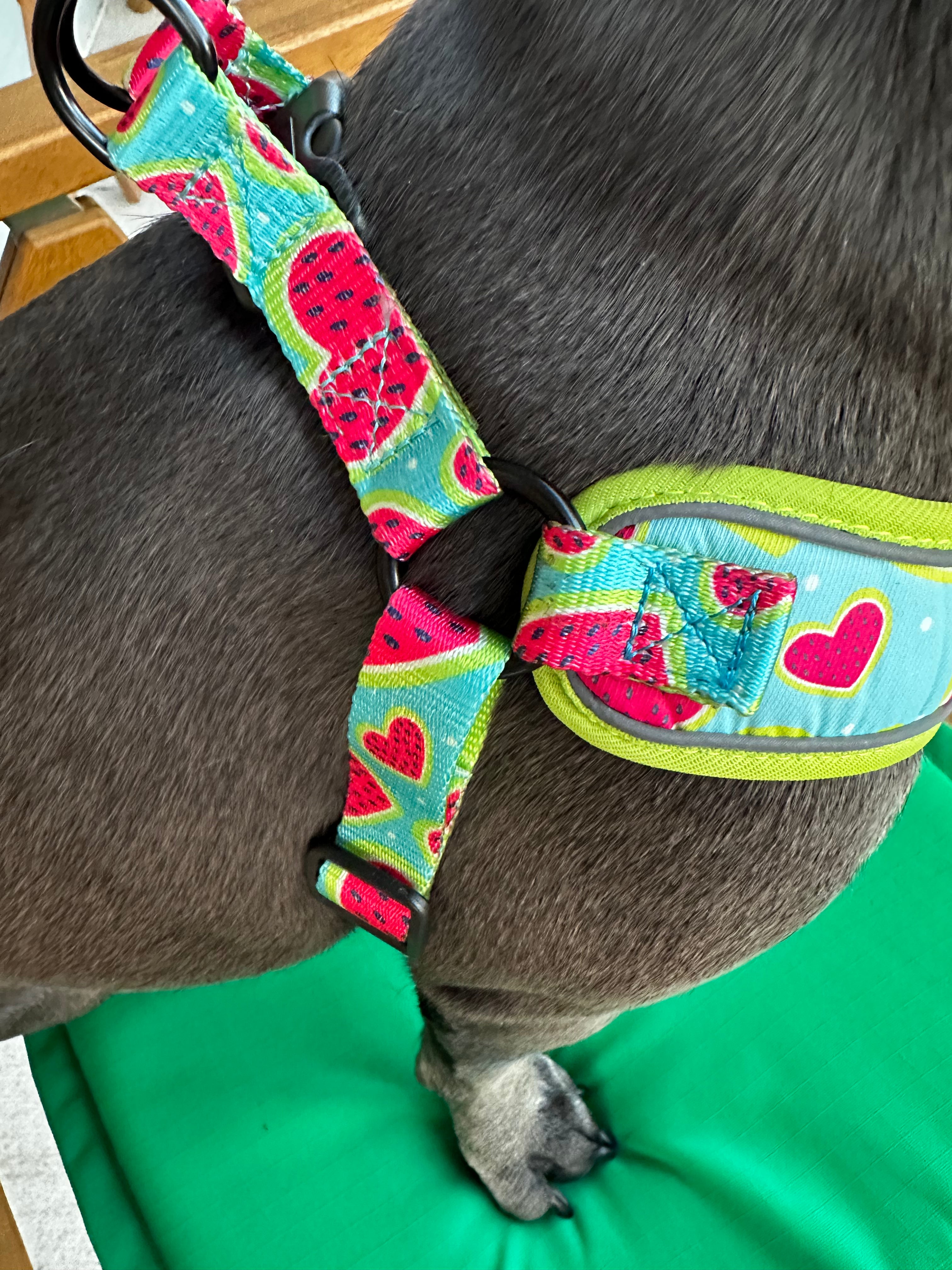 Green Dog Harness, Corazón de Melón