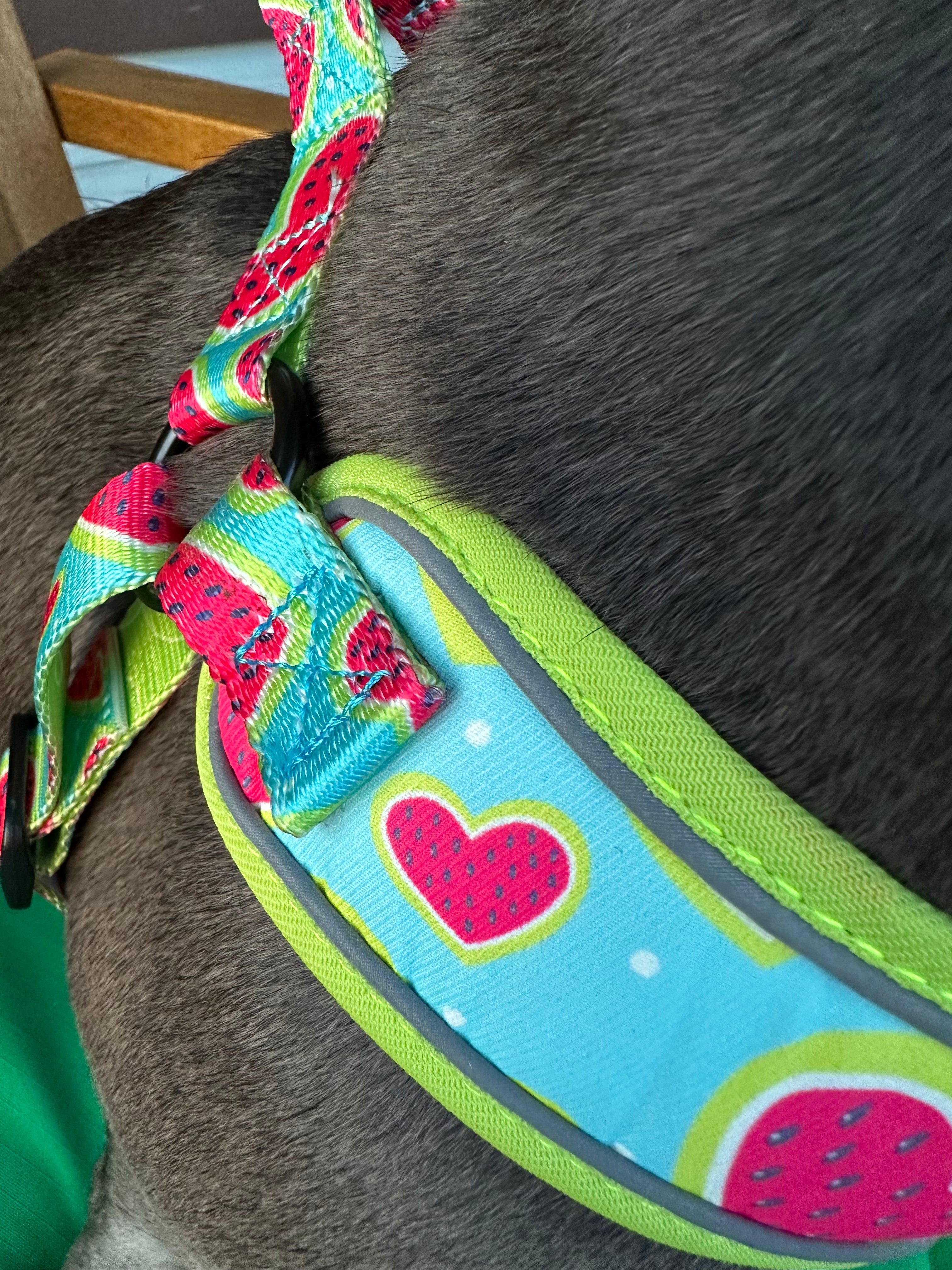 Green Dog Harness, Corazón de Melón