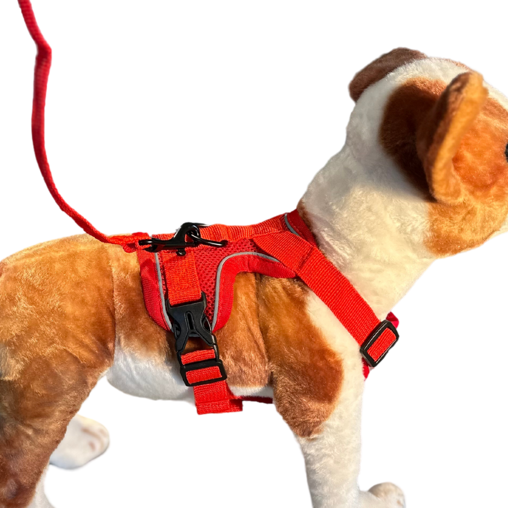 Pet Harness Reflective, Turquoise