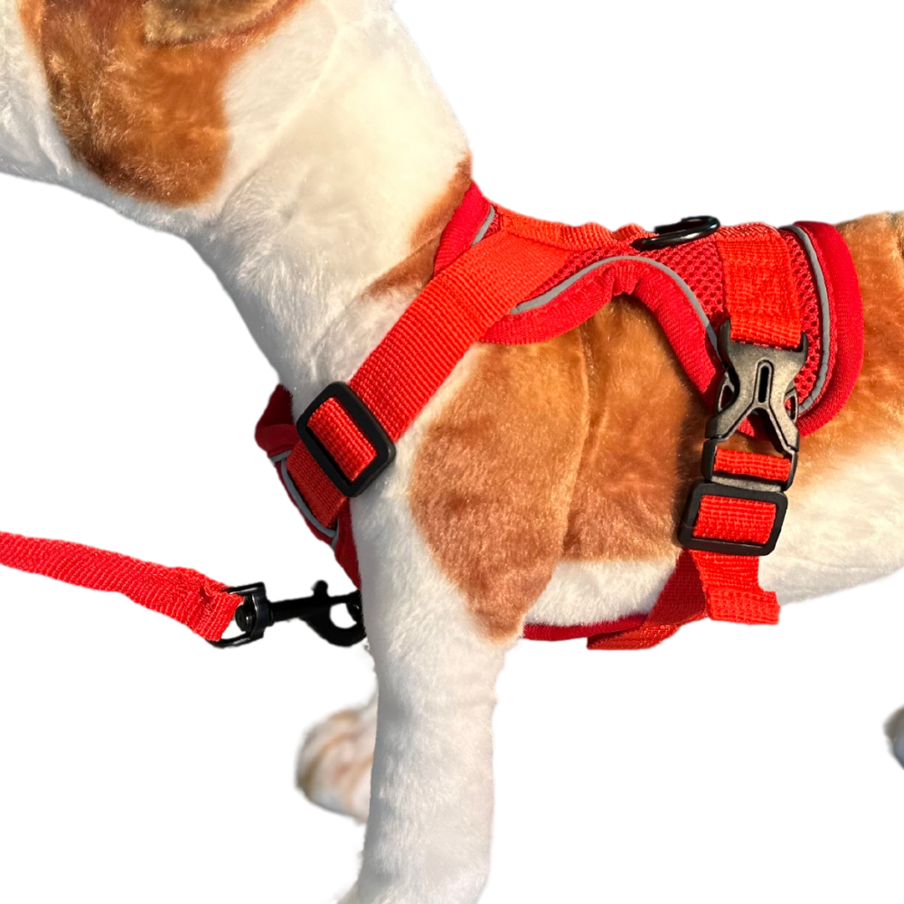 Pet Harness Reflective, Red