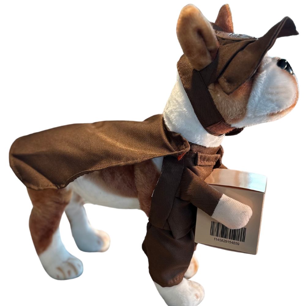 Delivery Pet Costume