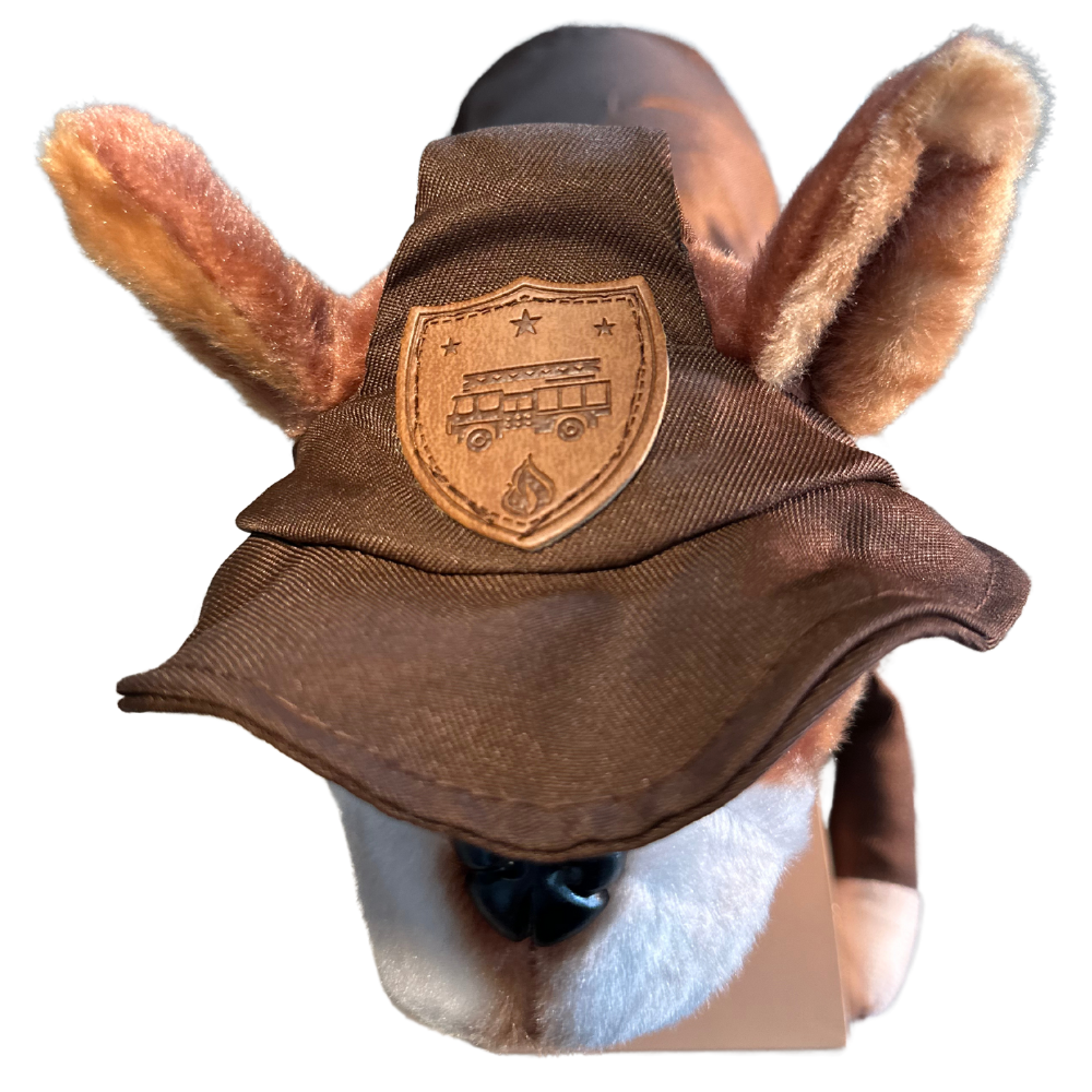 Delivery Pet Costume
