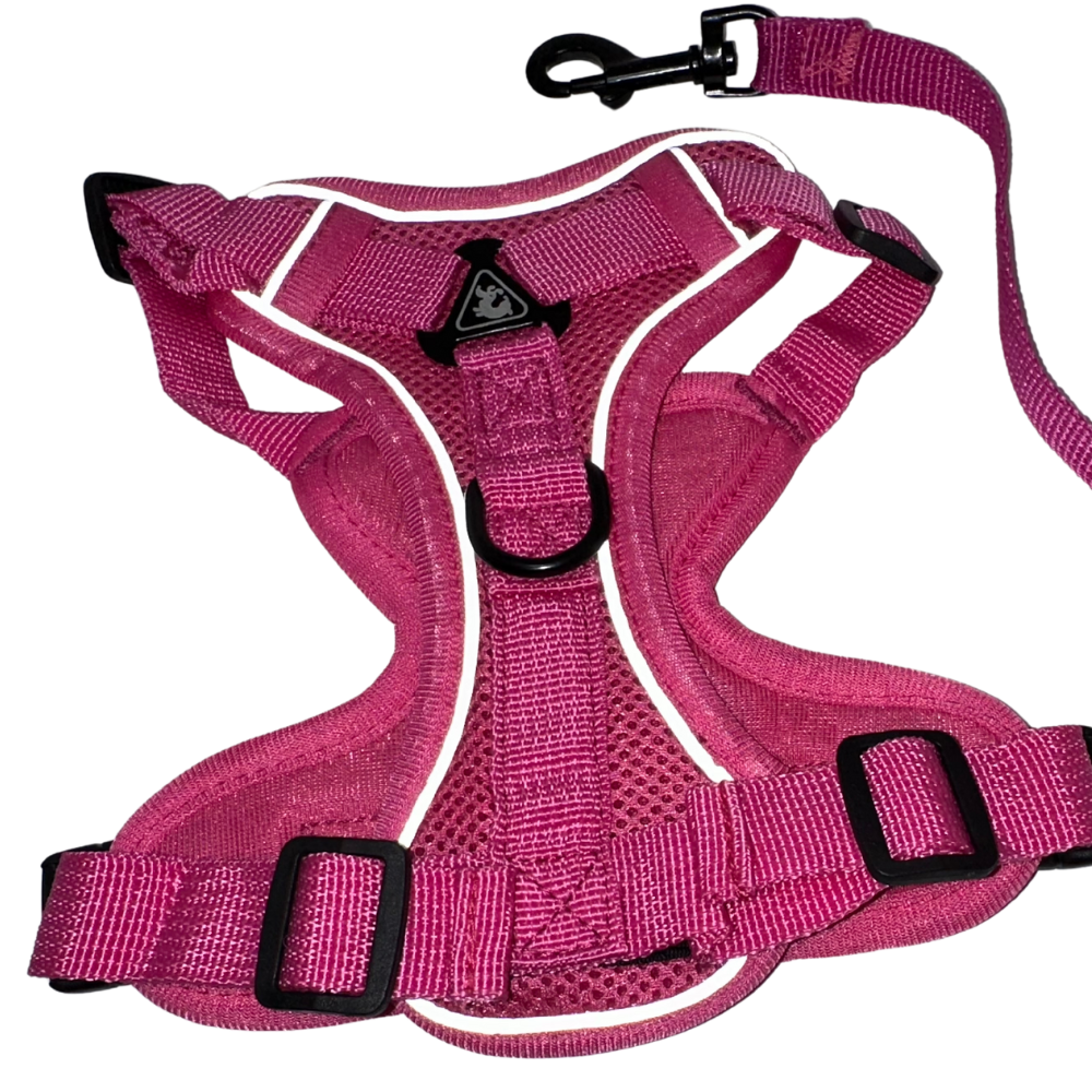 Pet Harness Reflective, Pink