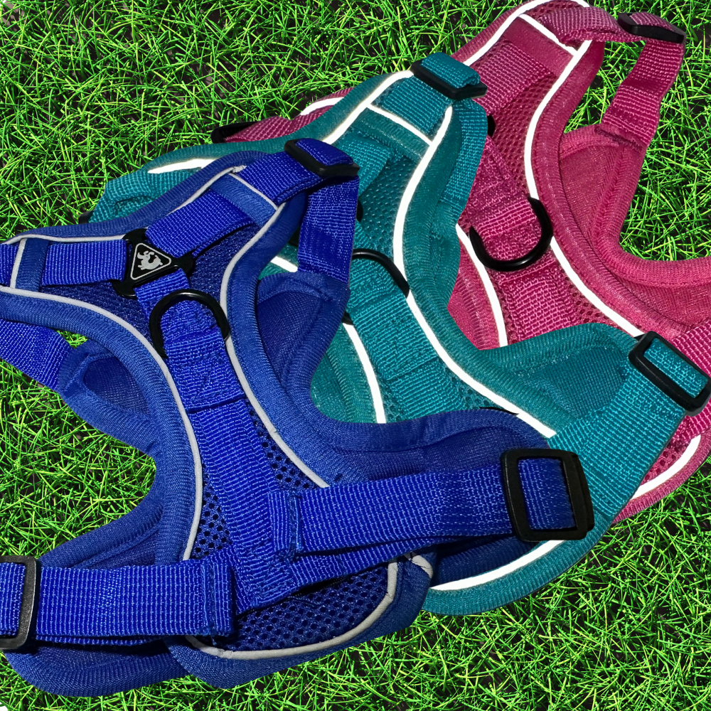 Pet Harness Reflective, blue