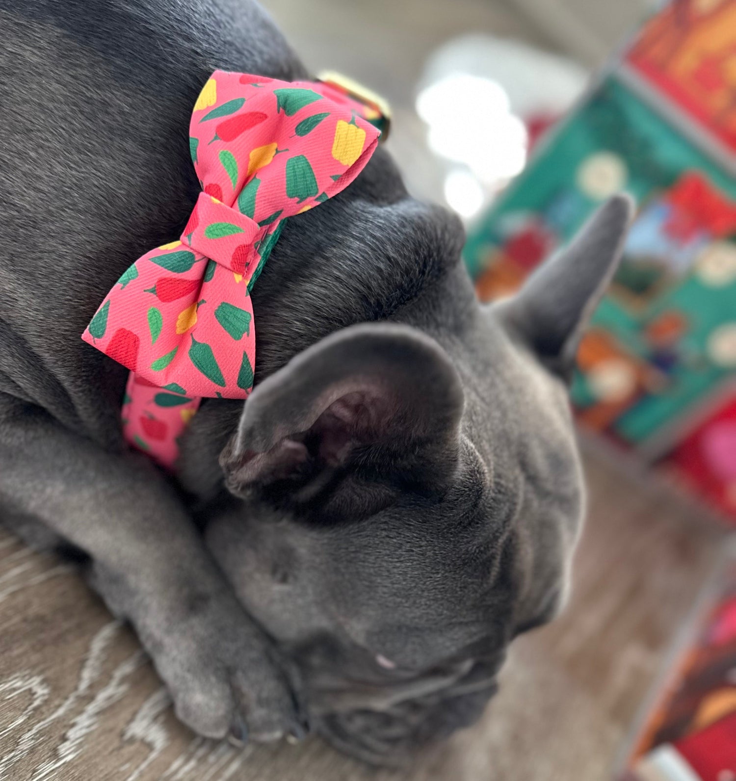 Bows