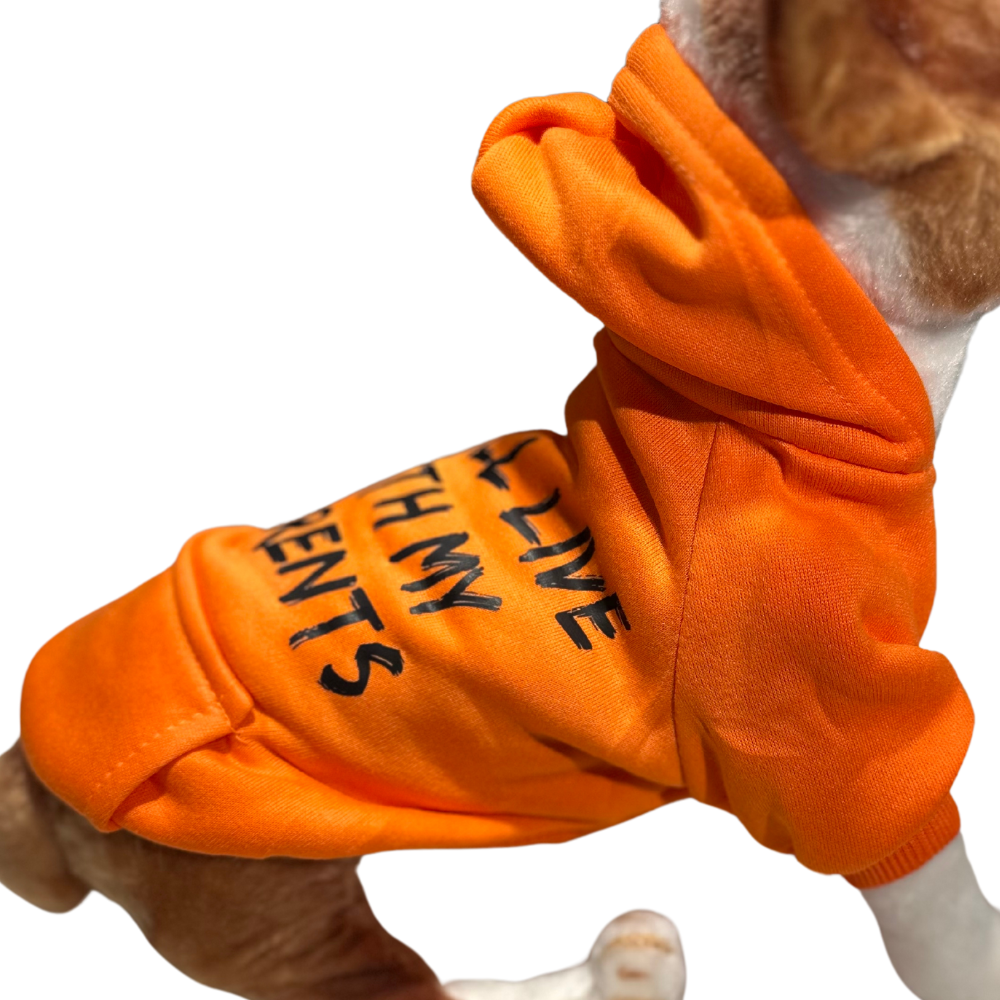 Pet Clothes