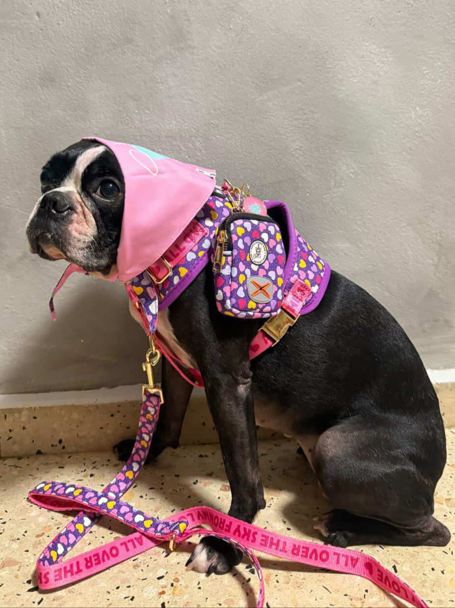 Gigi Collection Dog Leash