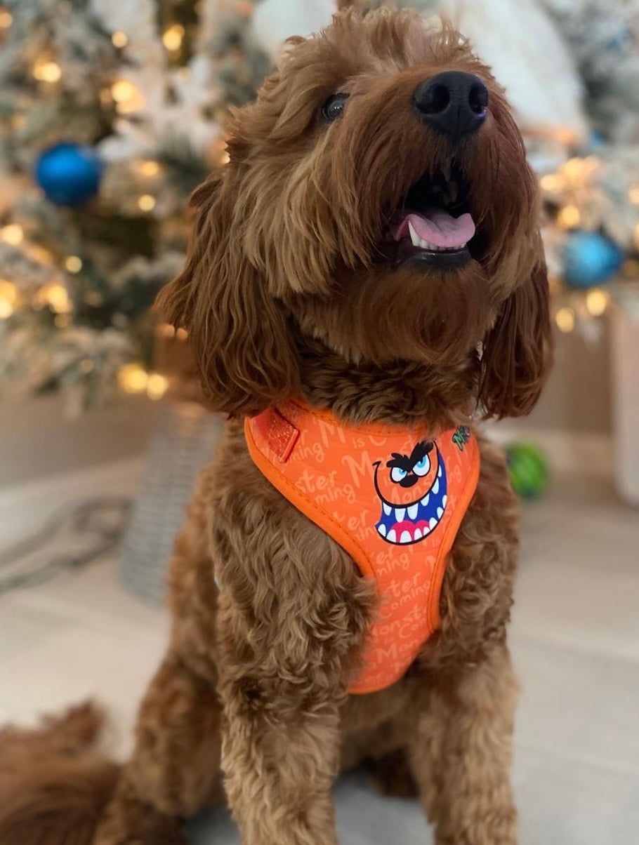LickMonster Bundle, No pull dog harness