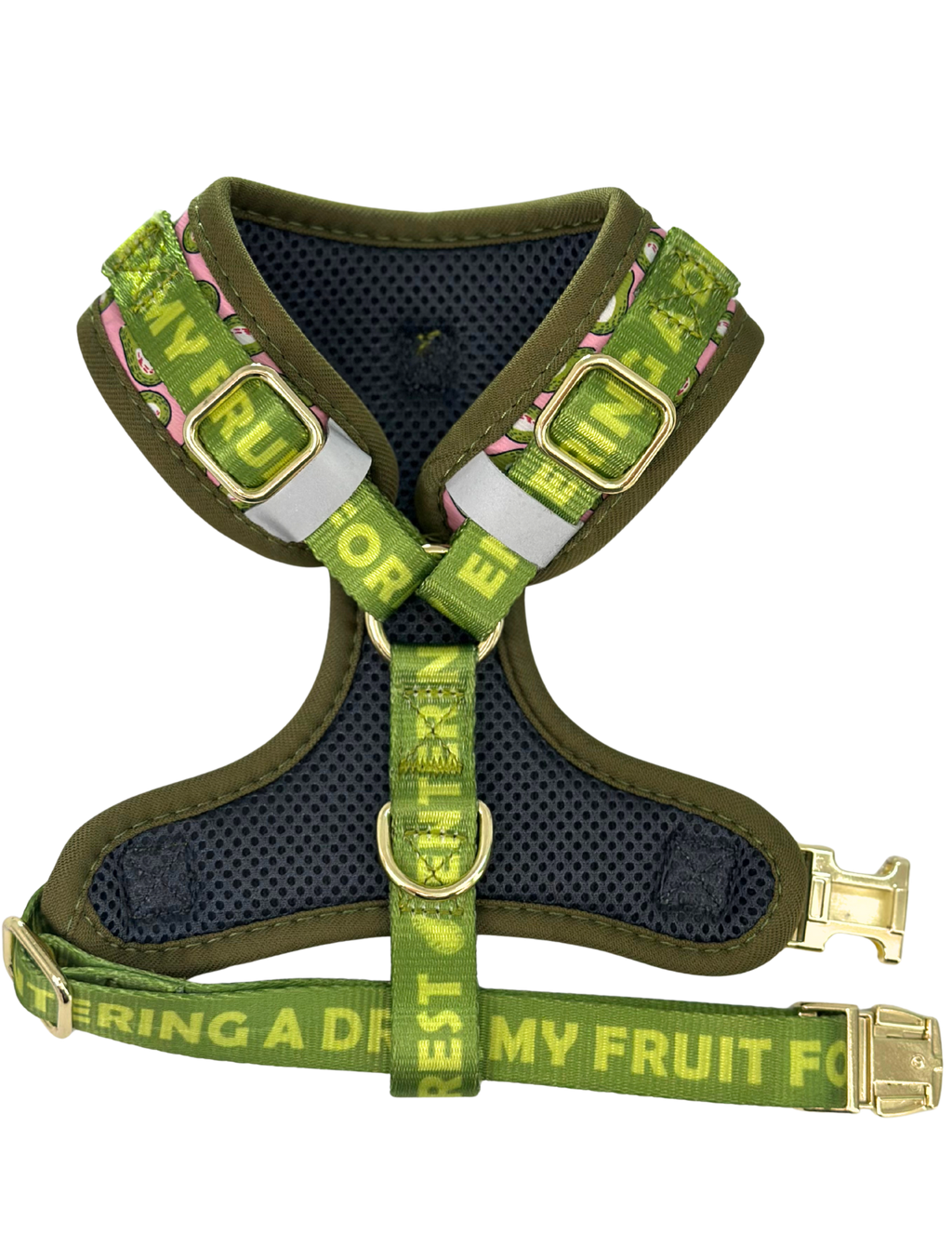 AVOCADO Collection, Adjustable Dog Harness, Leash & more...