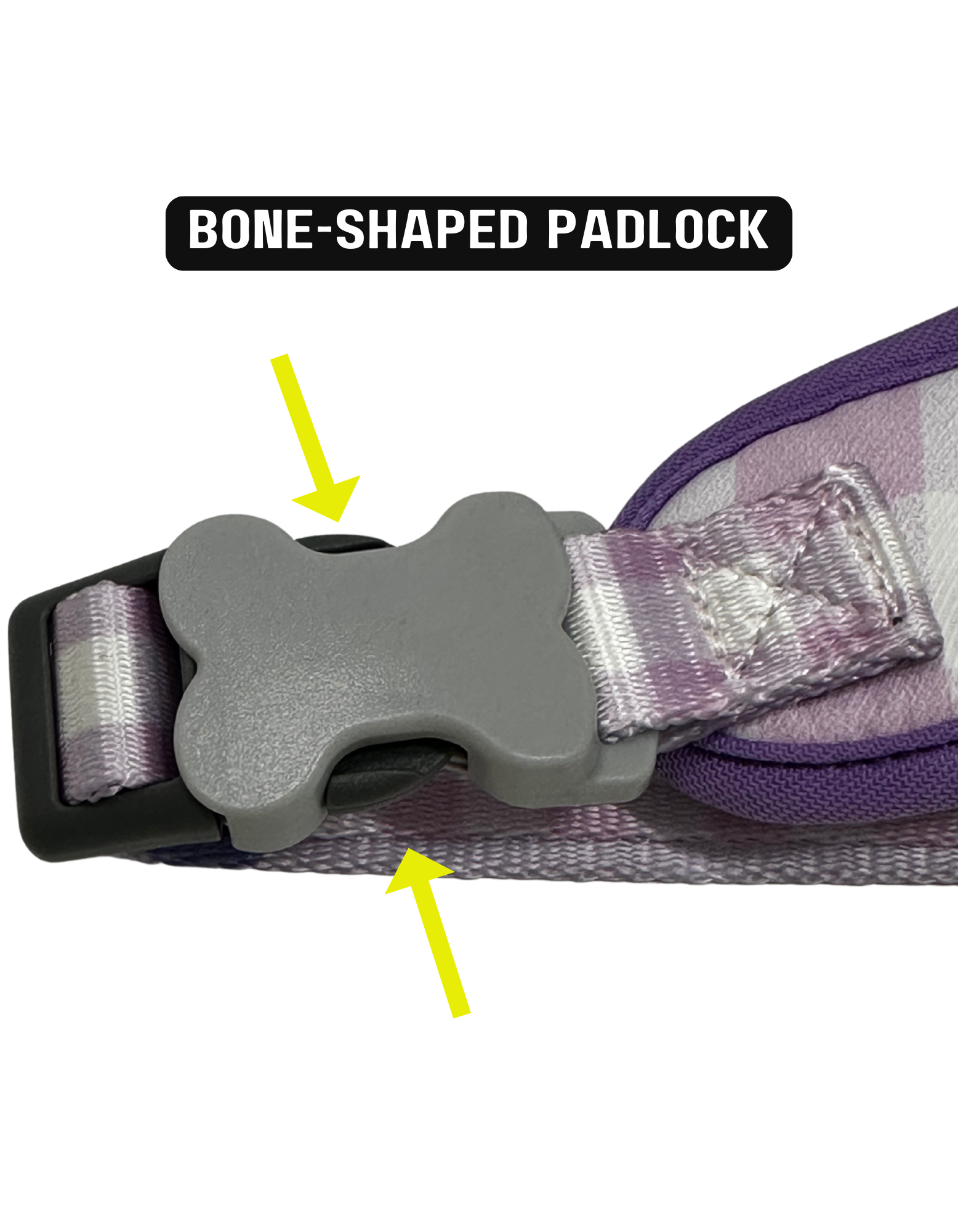 Spring Collection Dog Harness