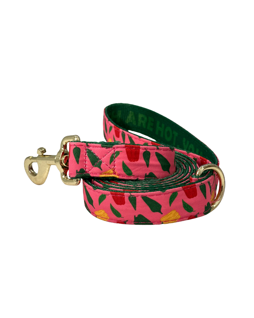 Dog Leash Caribeño Collection, Coral / Green