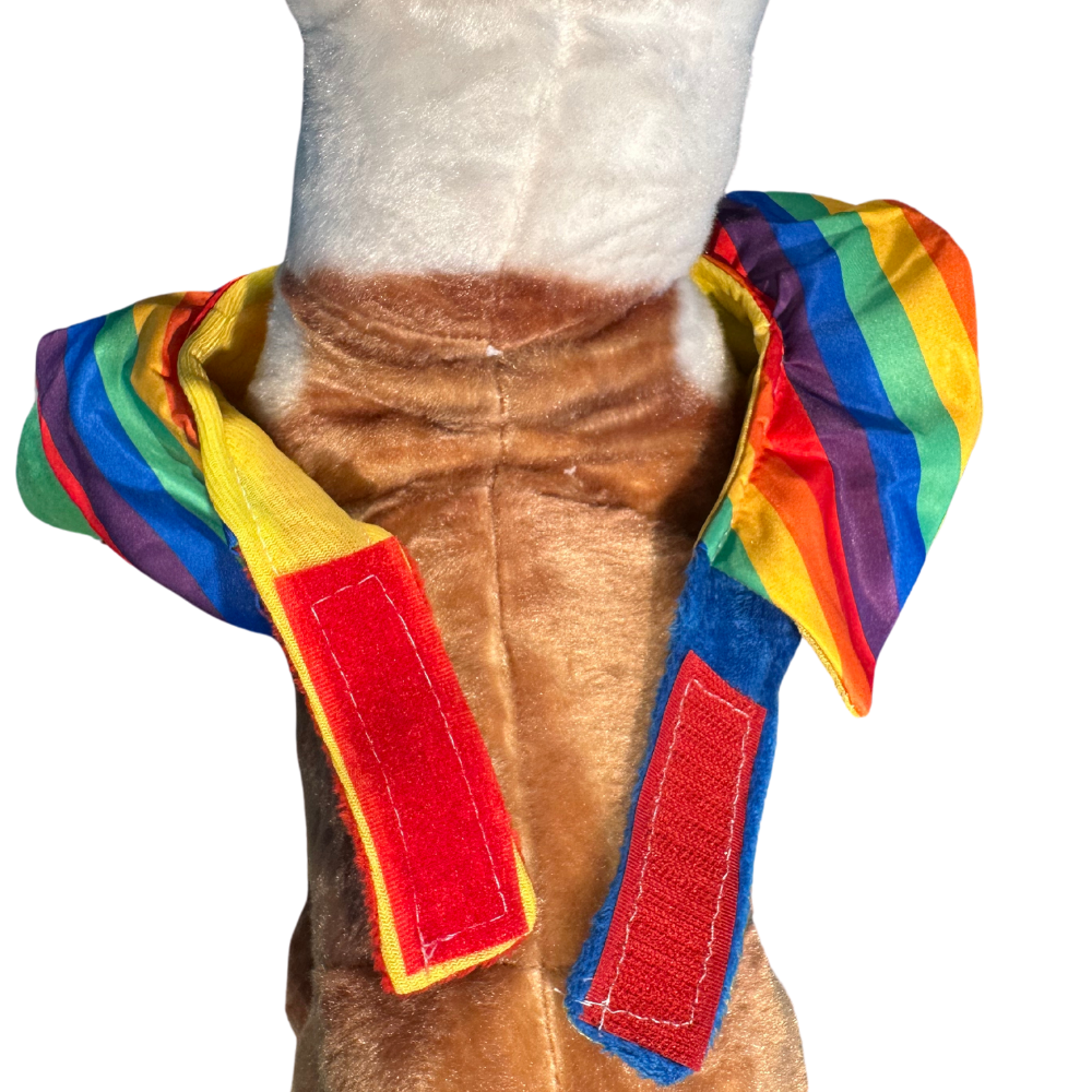 Pet Cosplay Clown Costume