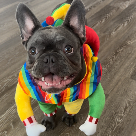 Cosplay Clown