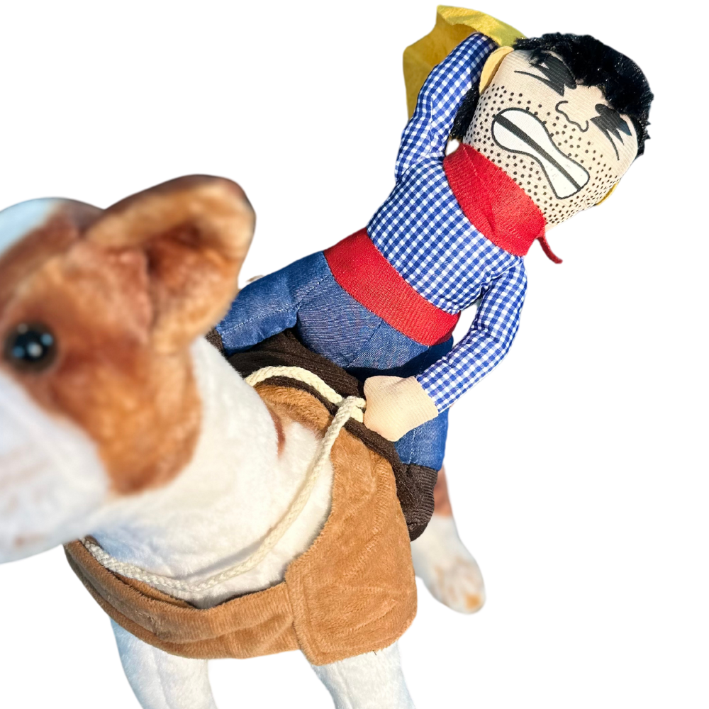 Cowboy Rider Pet Costume