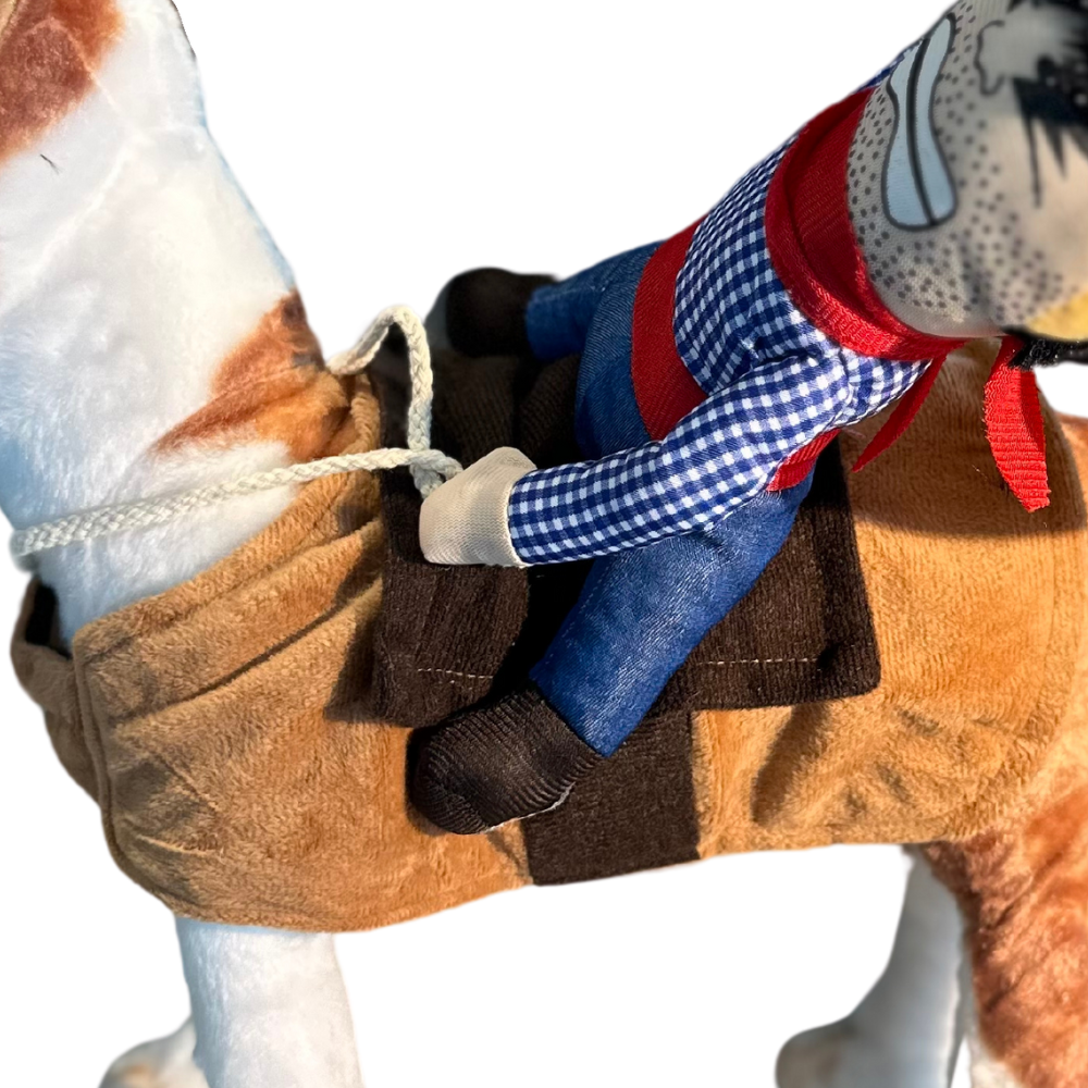 Cowboy Rider Pet Costume
