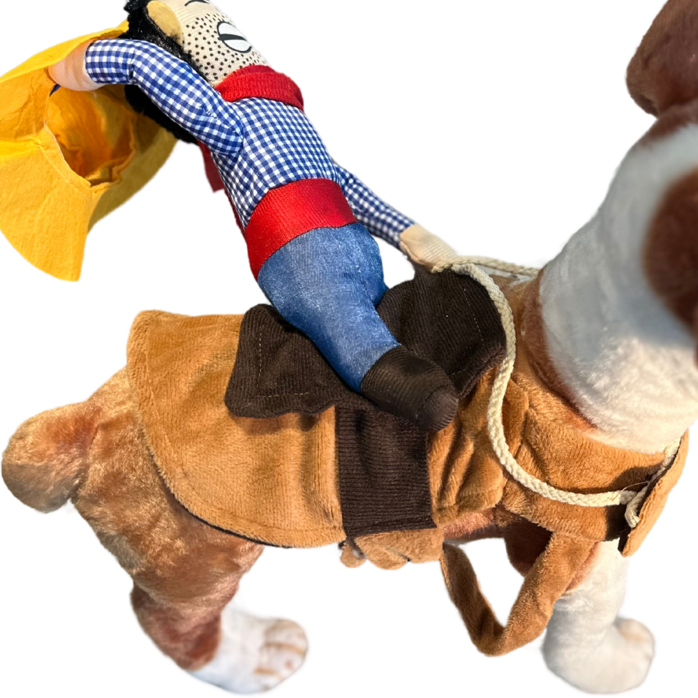 Cowboy Rider Pet Costume