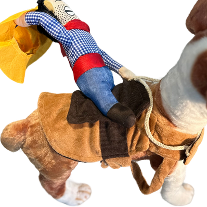 Pet Cowboy Rider Costume