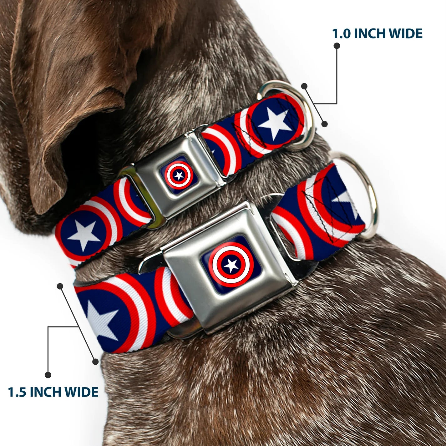 Captain America Shield, Seatbelt Buckle Collar