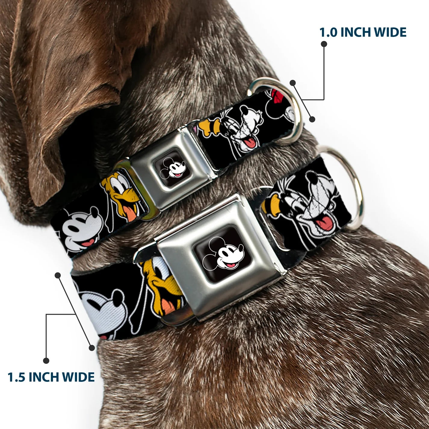 Disney The Sensational Six Smiling Faces -Seatbelt Buckle Collar black