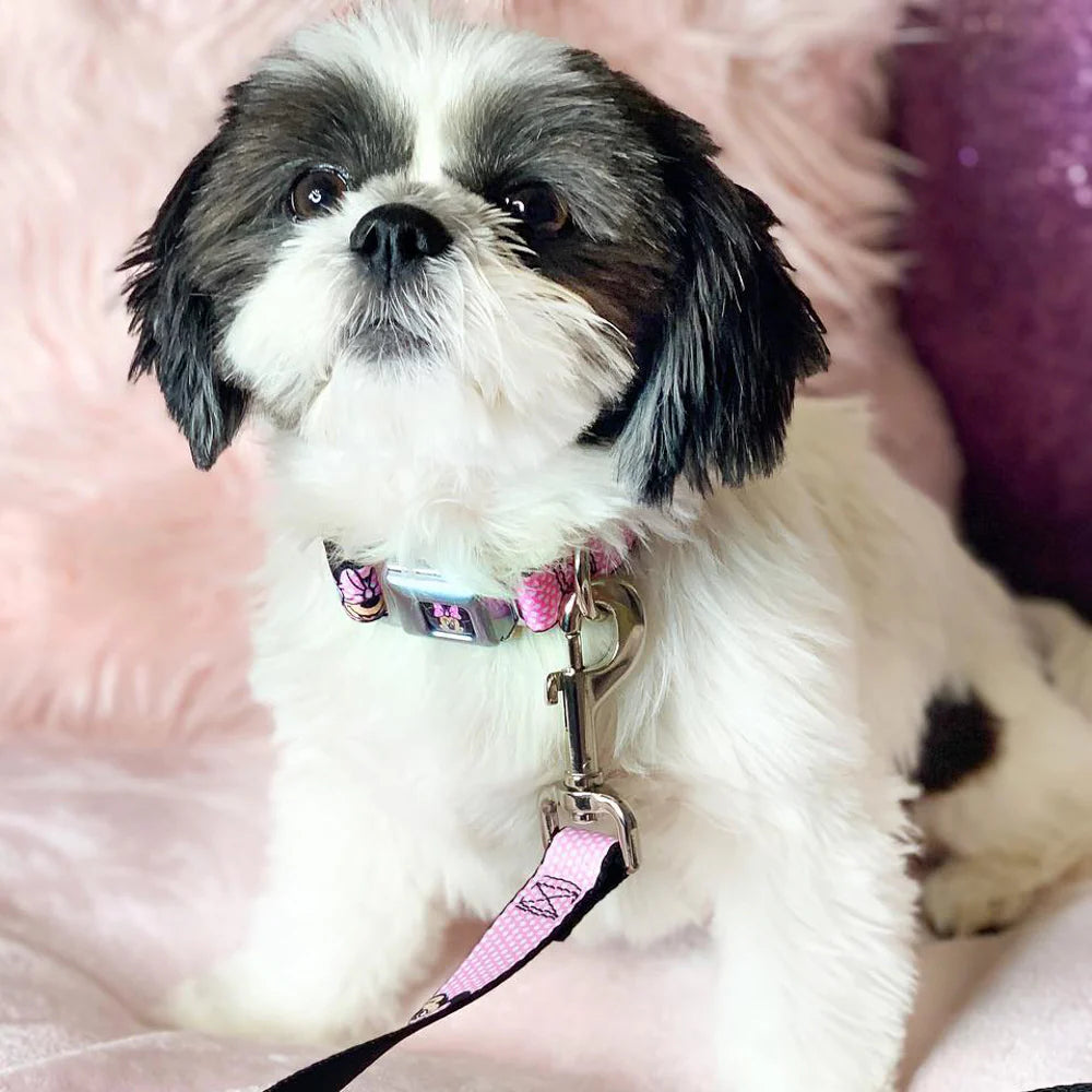 Minnie Mouse Expressions Polka Dot - Seatbelt Buckle Collar