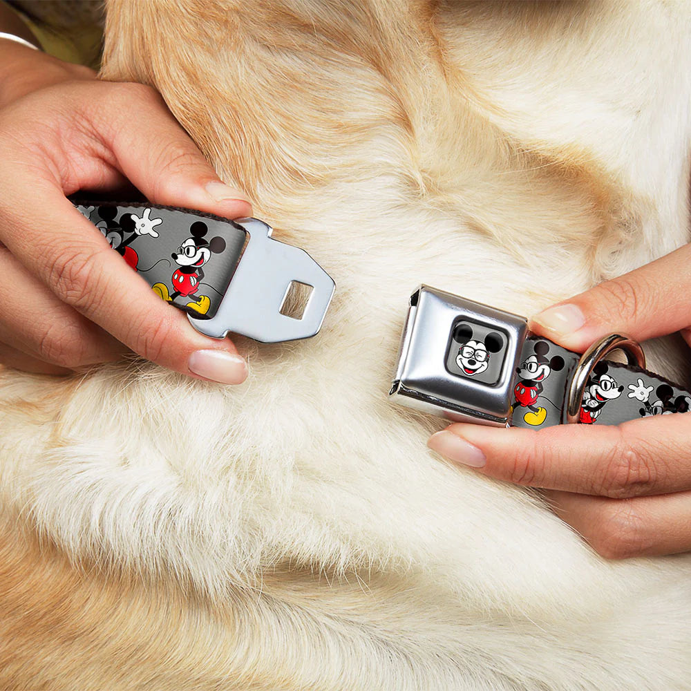 Mickey Mouse Glasses Seatbelt Buckle Collar