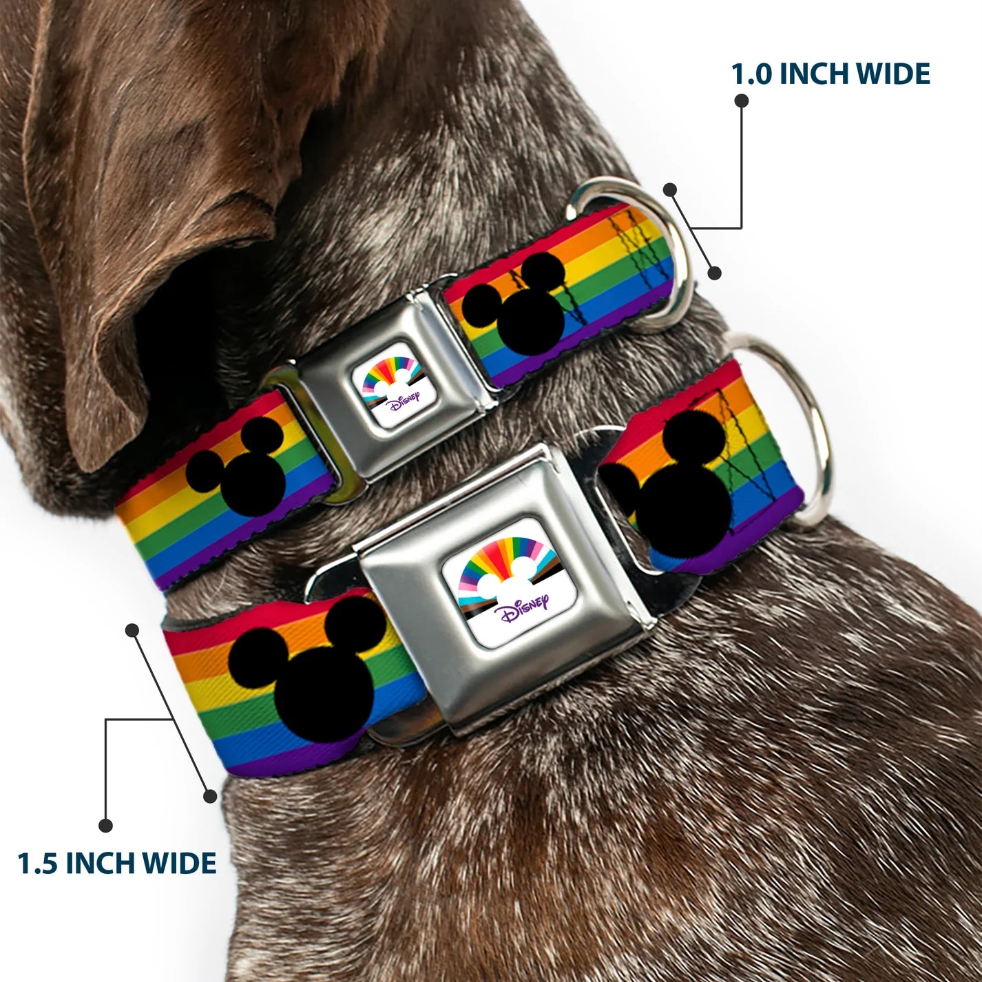 Mickey Mouse Ears Icon Rainbow Pride Flag -Seatbelt Buckle Collar