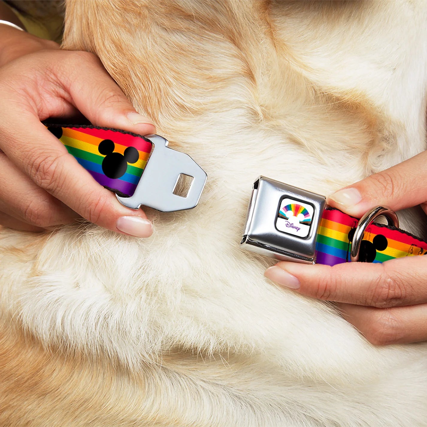 Mickey Mouse Ears Icon Rainbow Pride Flag -Seatbelt Buckle Collar