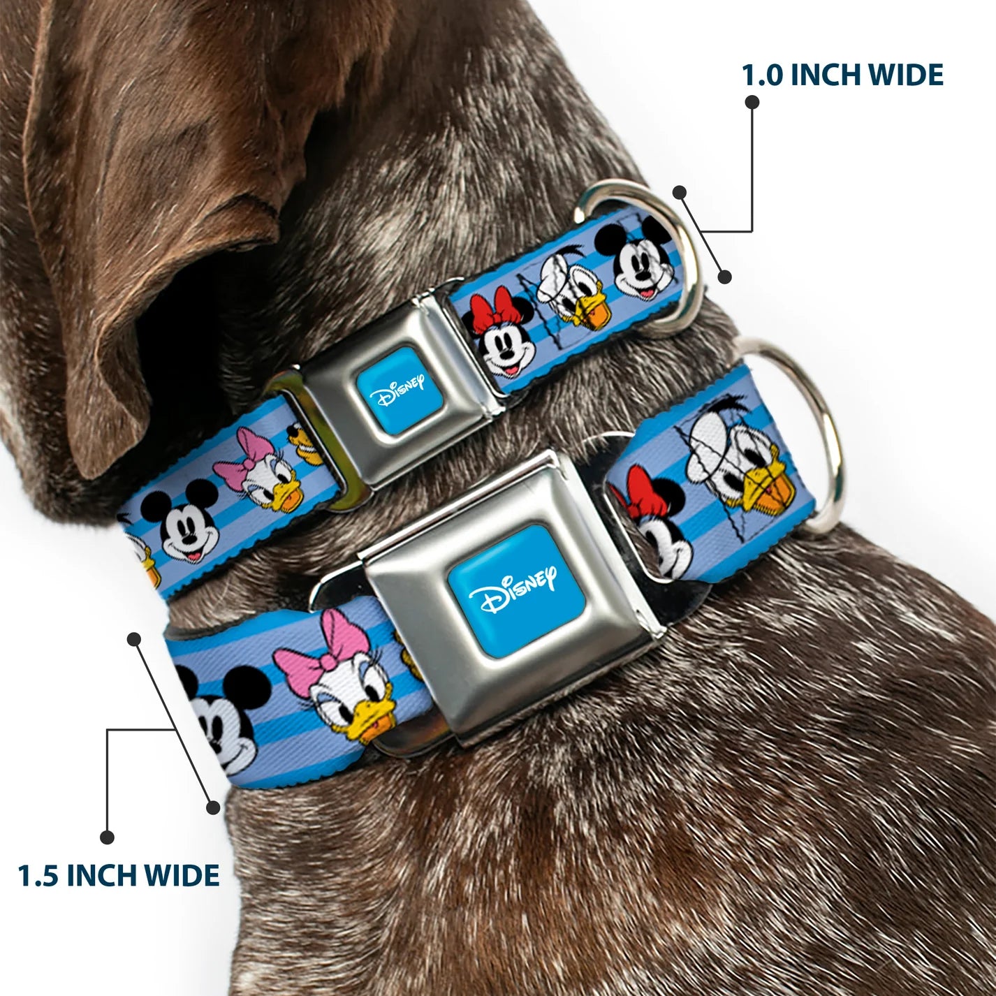 Disney Characters Smiling Faces, Seatbelt Buckle Collar Blue