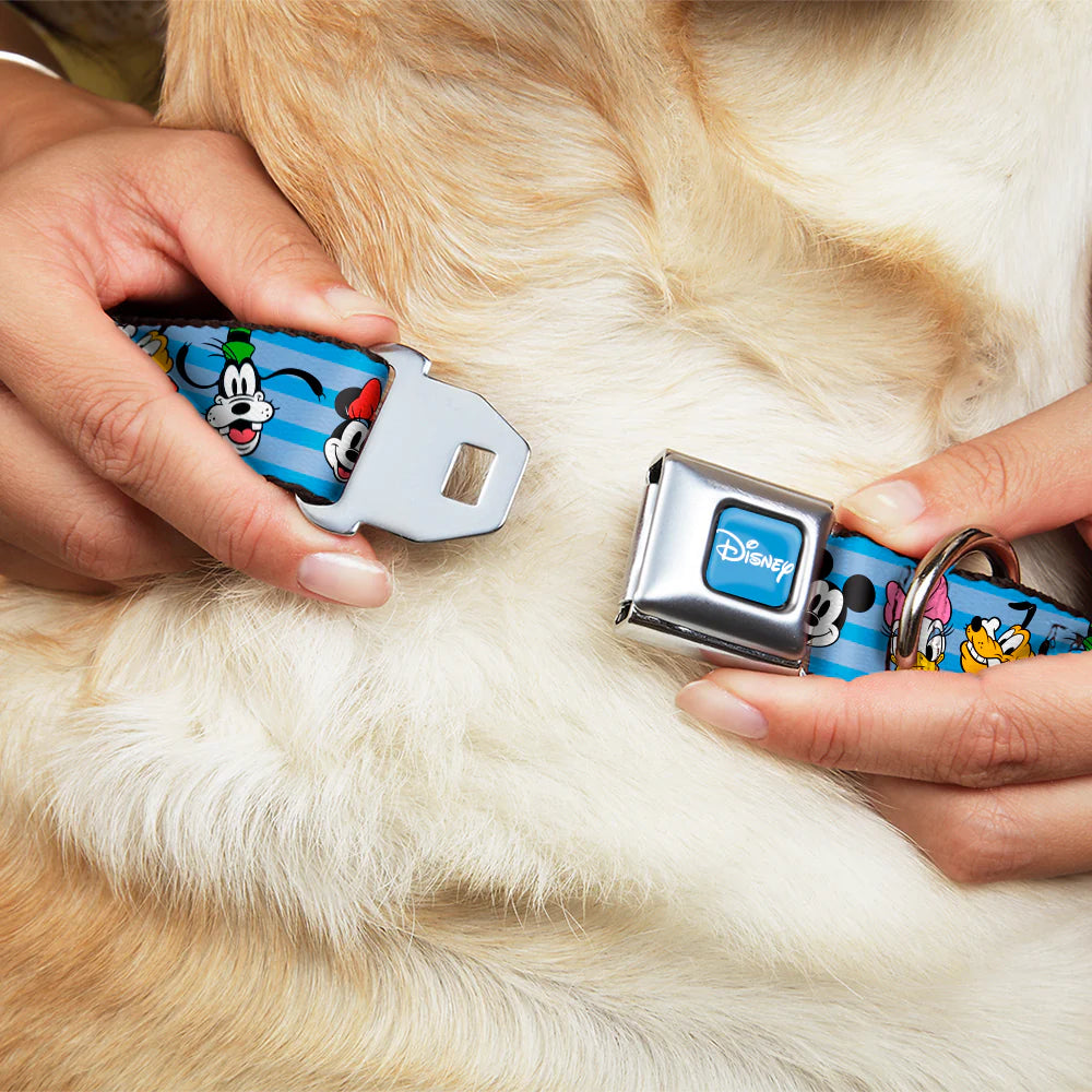 Disney Characters Smiling Faces, Seatbelt Buckle Collar Blue