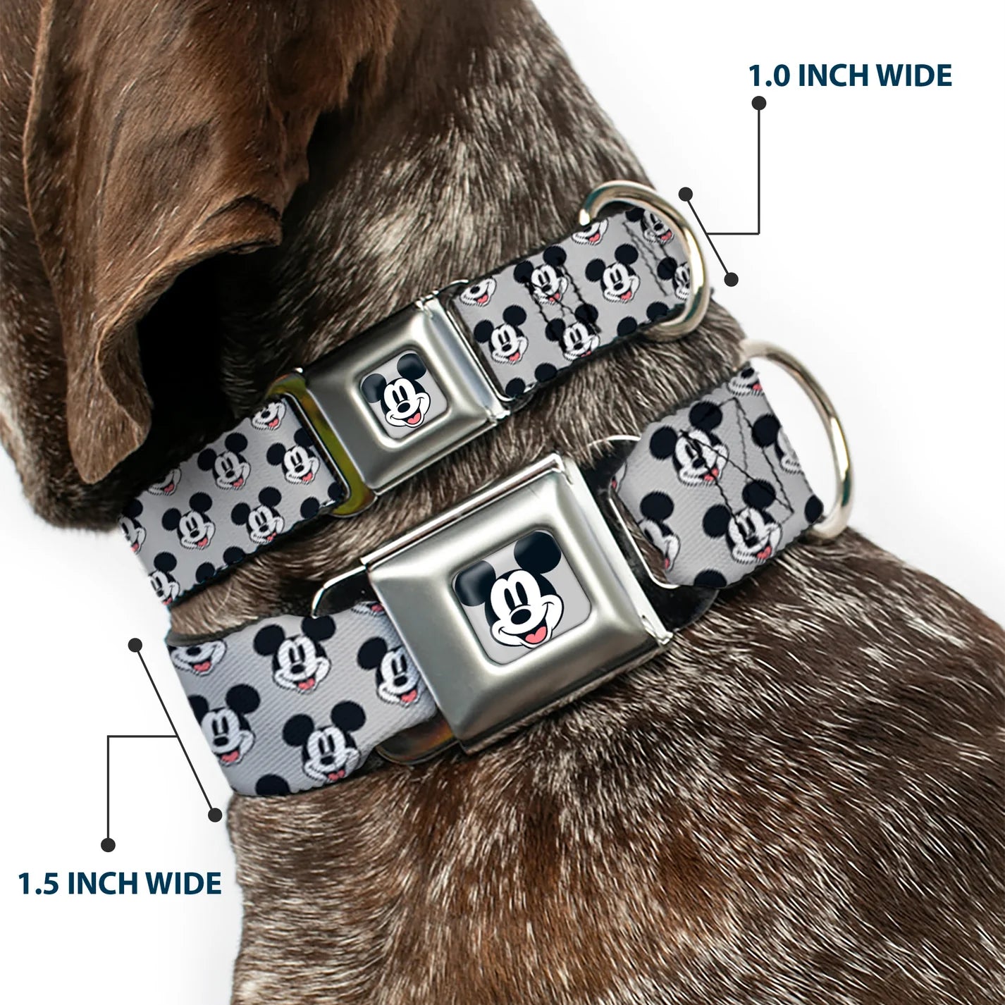 Disney Mickey Mouse Smiling Face Monogram, Seatbelt Buckle Collar Gray