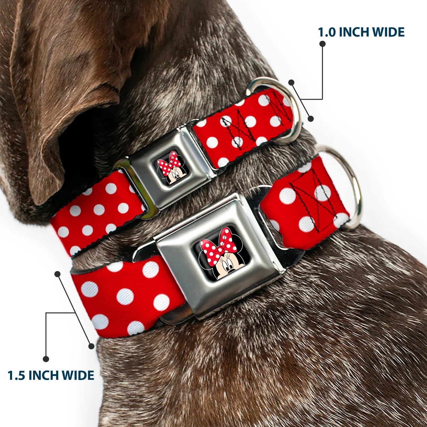 Minnie Mouse Polka Dots Seatbelt Buckle Collar