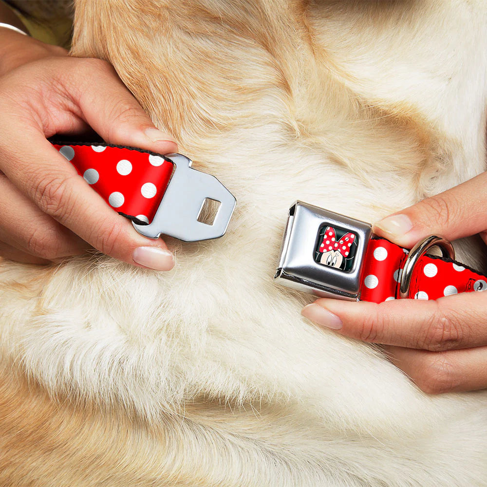 Minnie Mouse Polka Dots Seatbelt Buckle Collar