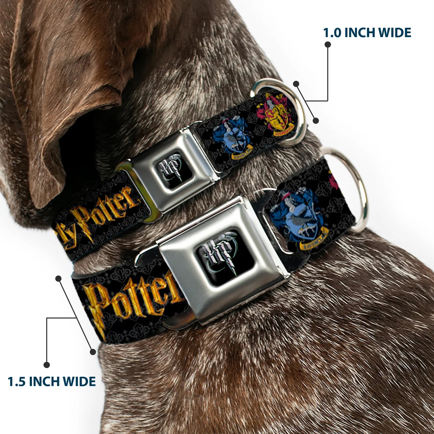 Harry Potter Seatbelt Buckle Collar
