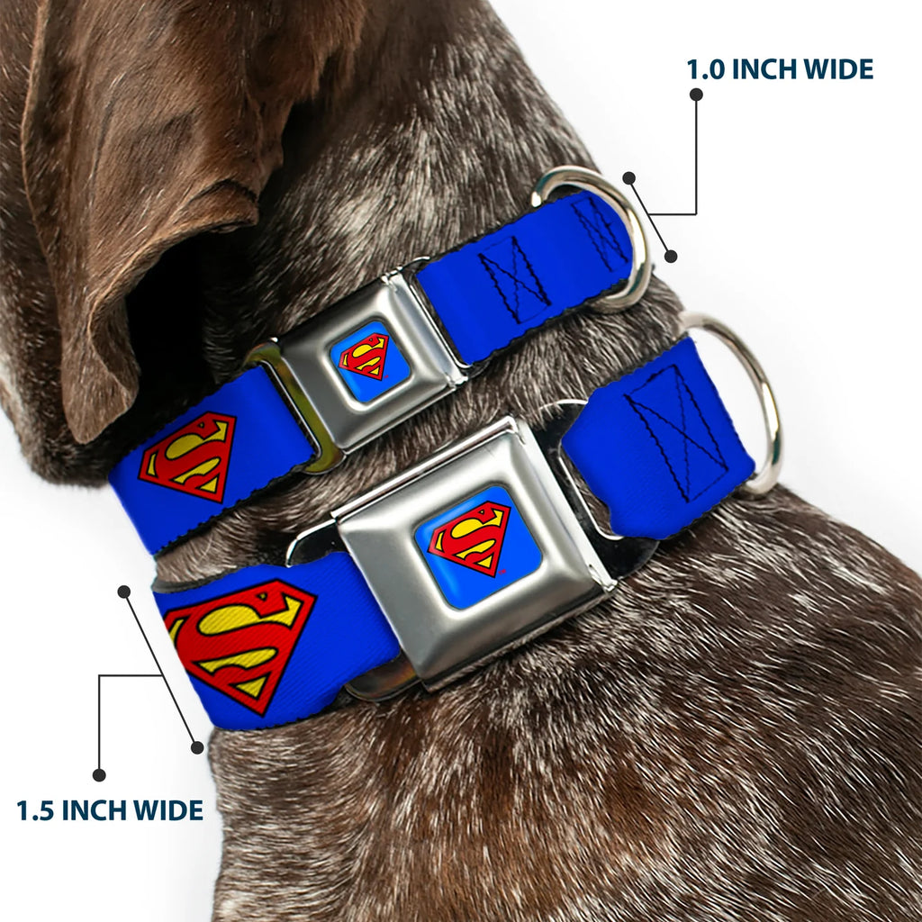 Superman Shield Blue, Seatbelt Buckle Collar