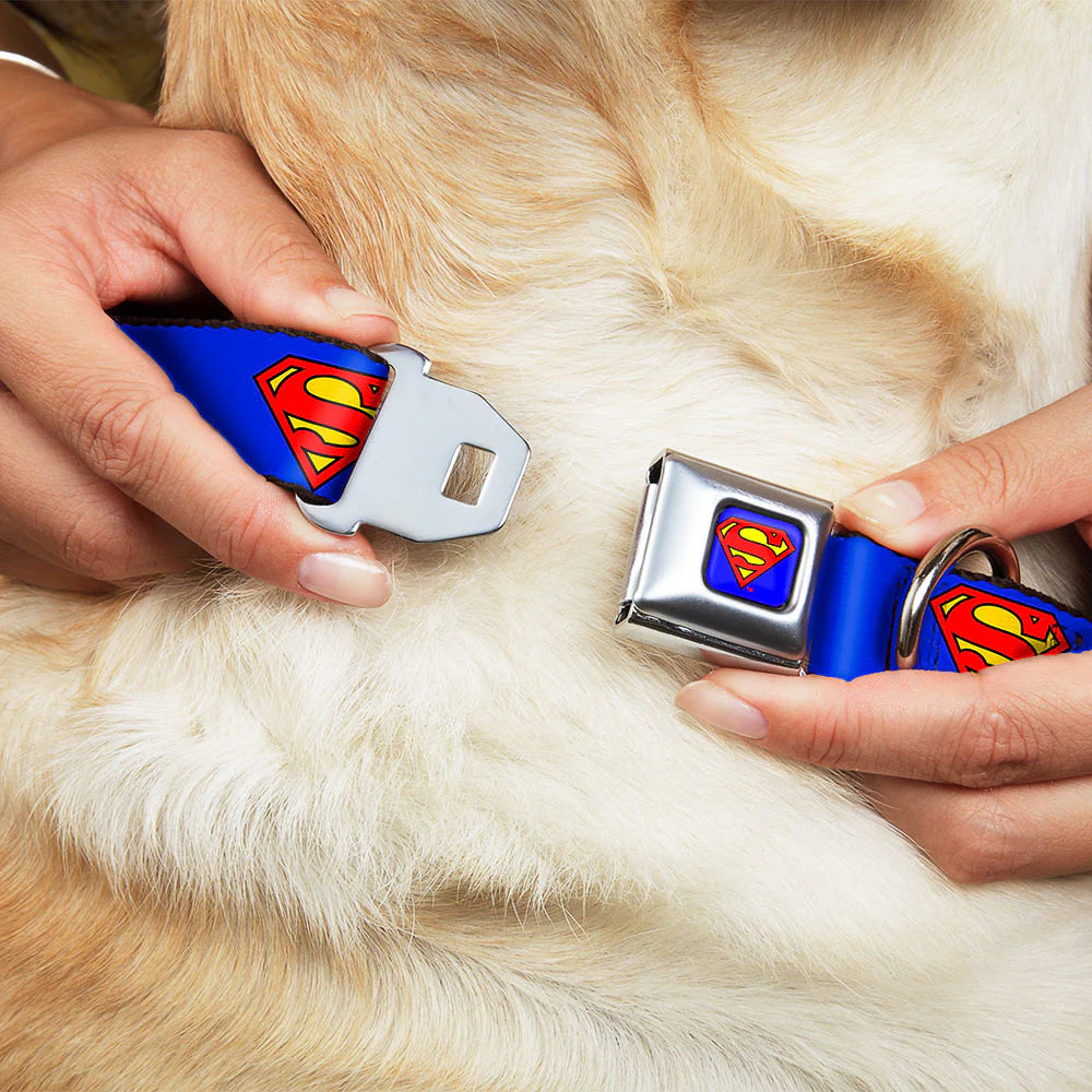 Superman Shield Blue, Seatbelt Buckle Collar