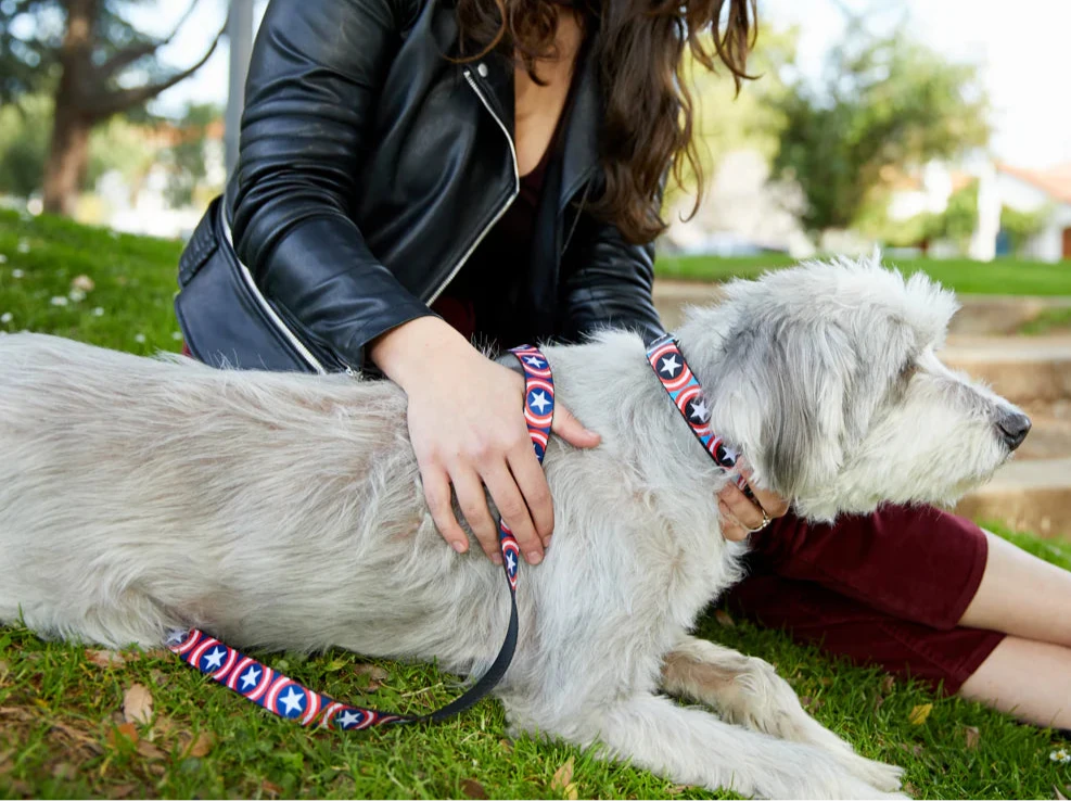 Captain America, Dog Leash
