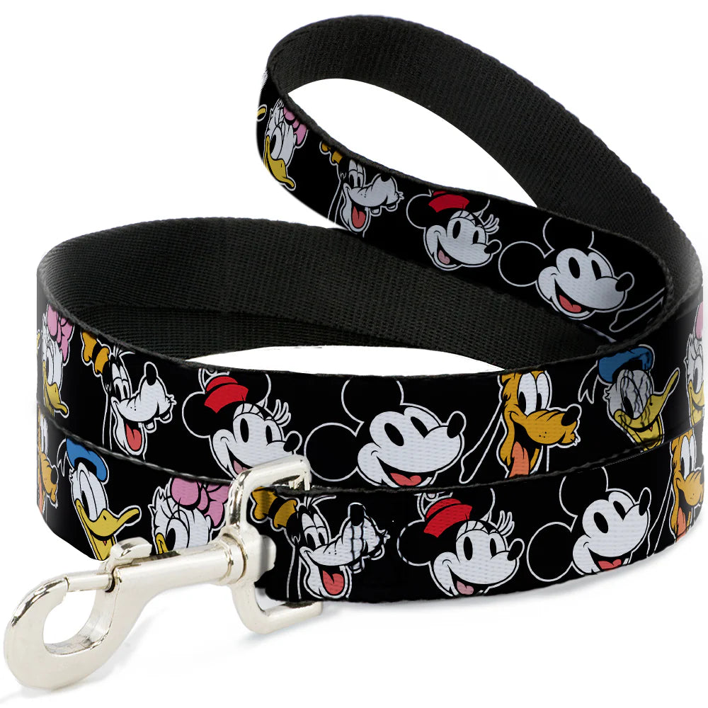 Disney The Sensational Six Smiling -Dog Leash