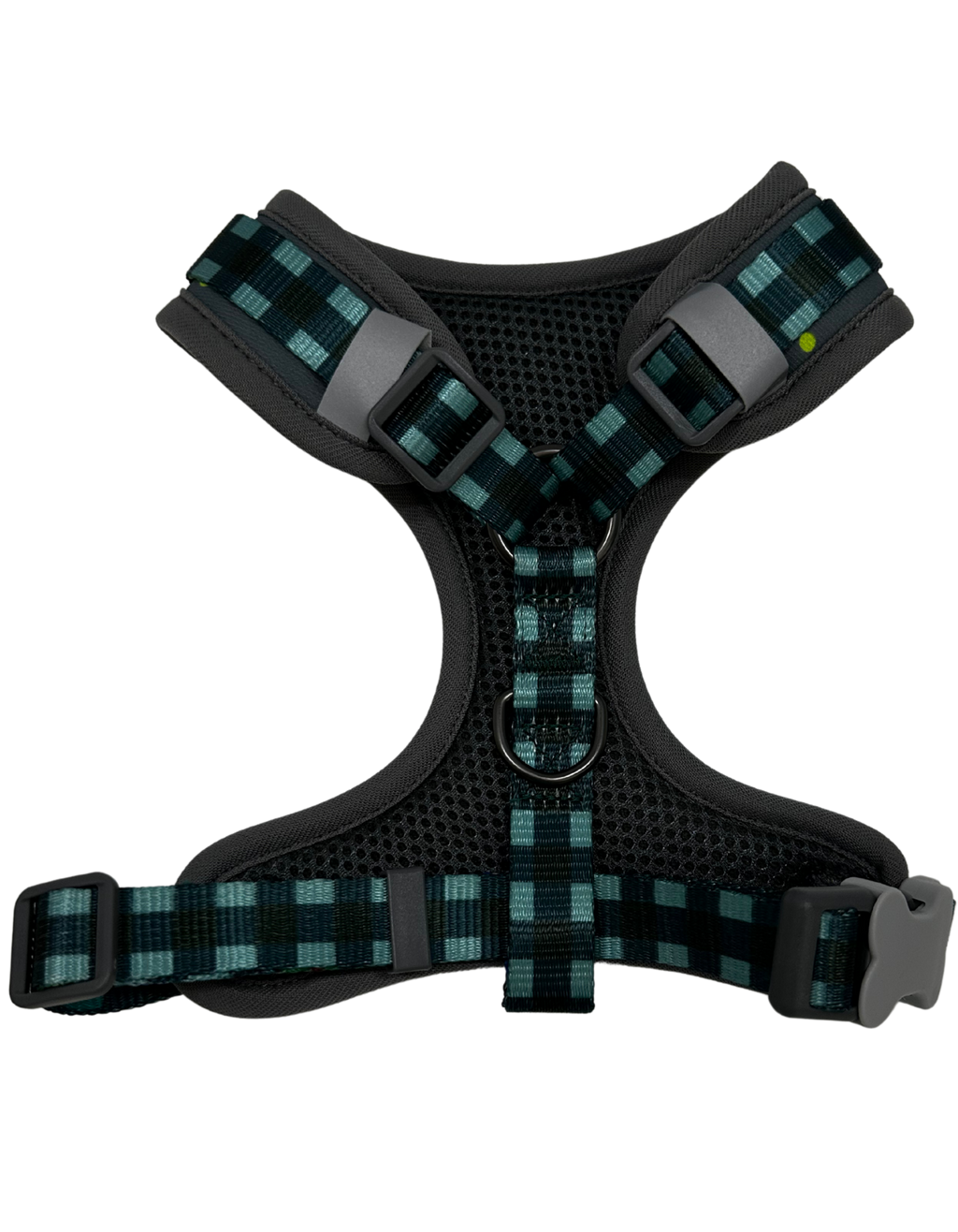 Spring Collection Dog Harness