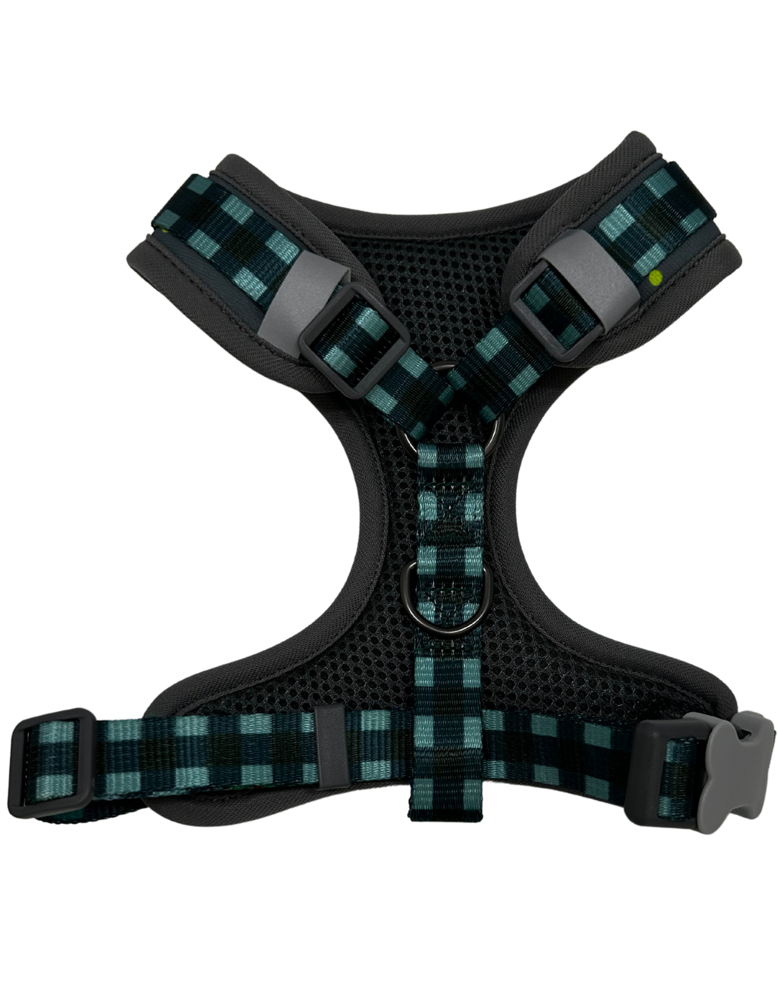 Spring Collection Dog Harness