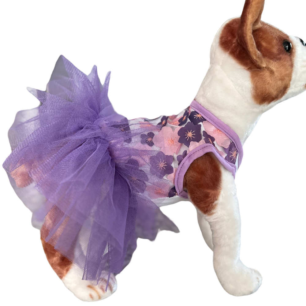 Tutu Dog Dress