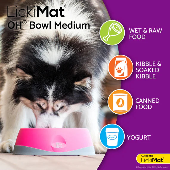 LickiMat OH Bowl