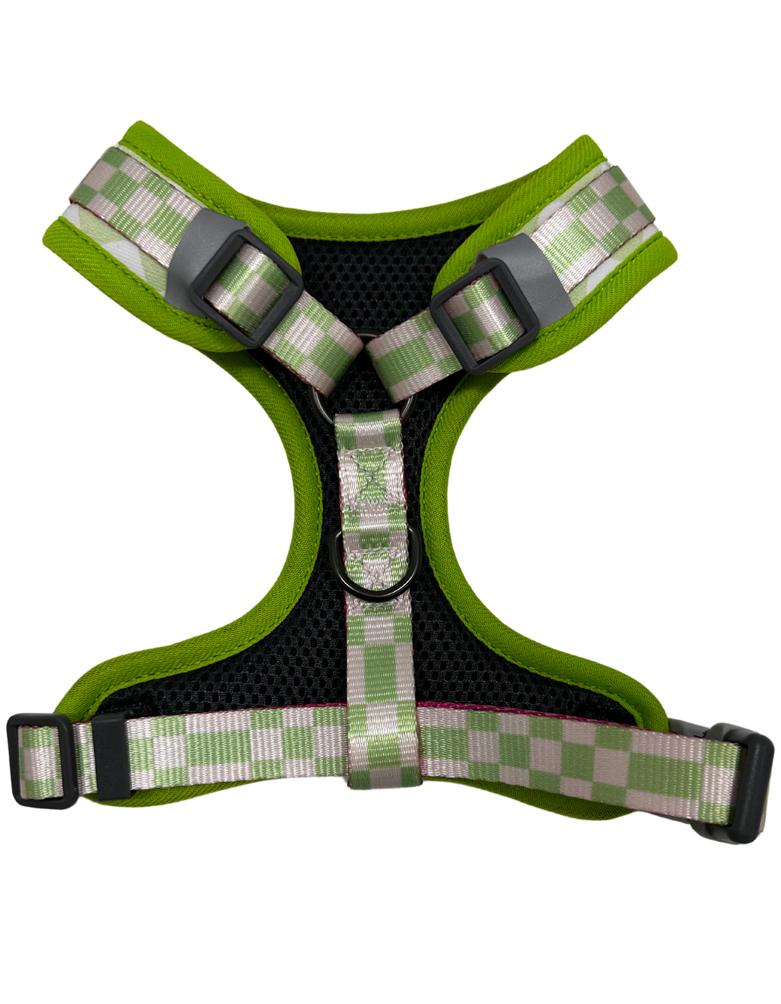 Spring Collection Dog Harness