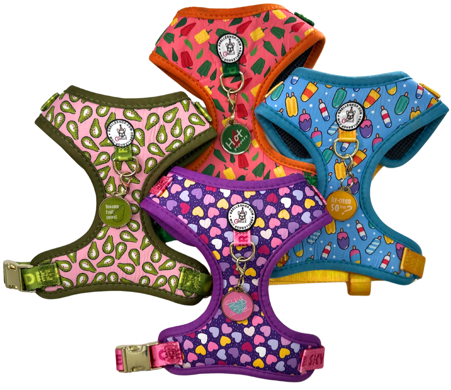 FRIENDLY Four Piece Dog Bundle