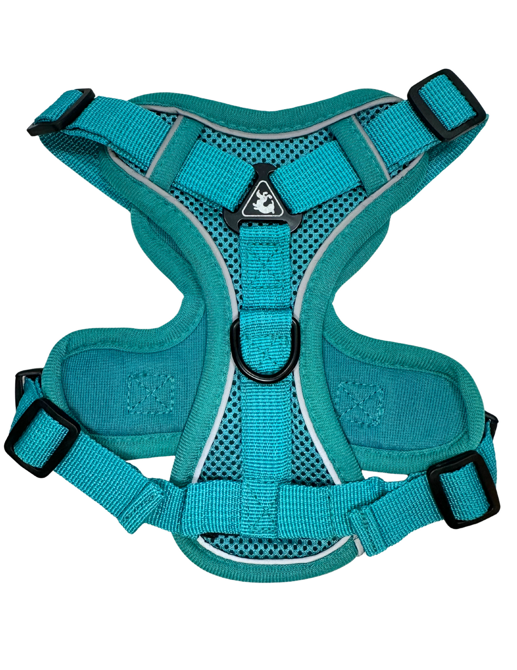 Pet Harness Reflective, Turquoise