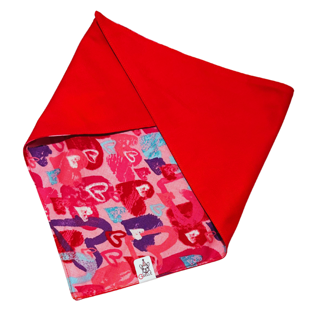 Bandanas (Reversible)