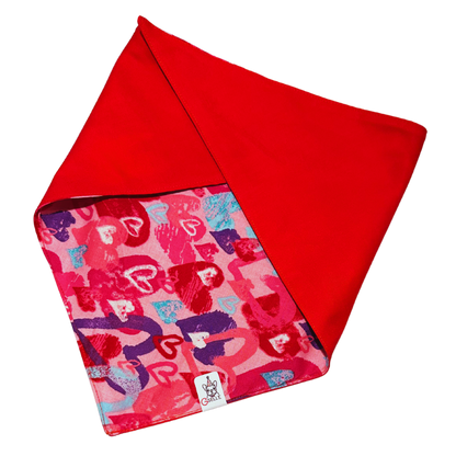 Bandanas (Reversible)