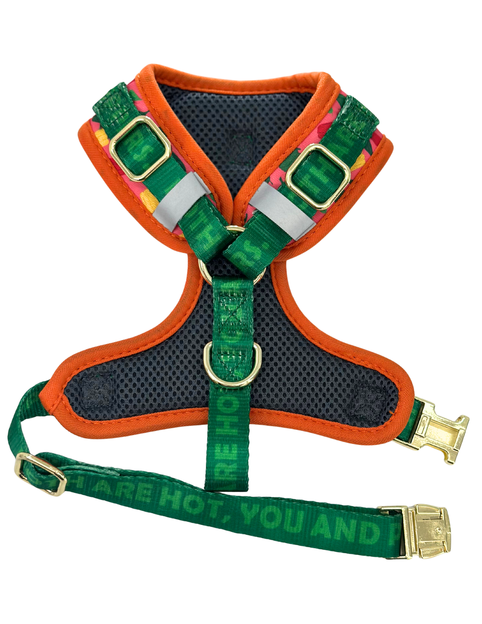 HOT PEPPERS Collection, Adjustable Dog Harness, Leash & more...